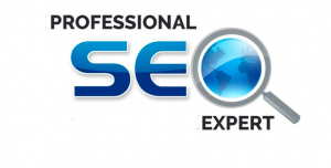 SEO Expert in Connaught Place